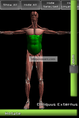 Jouez au docteur avec 3D Anatomy Muscular Structure 1