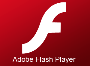 Adobe Flash Player sous Linux: installation et mise à jour 3