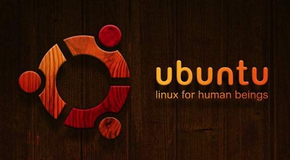 Les premières choses à faire après l'installation d'Ubuntu 13.04 beta