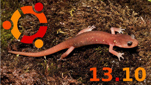 Ubuntu 13.10 s'appellera Saucy Salamander