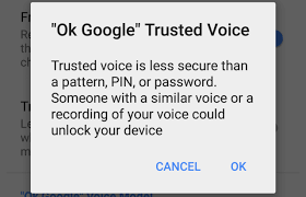 Trusted Voice : le dernier outil de verrouillage d'Android